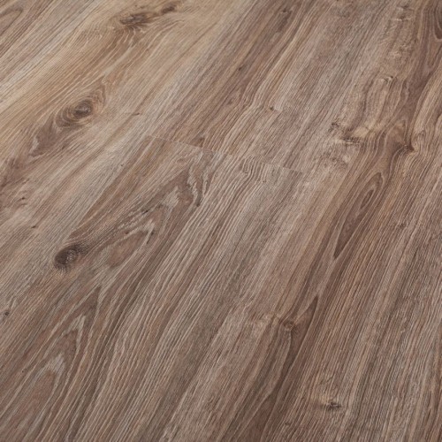 Dąb Białowieski 8642.jpg