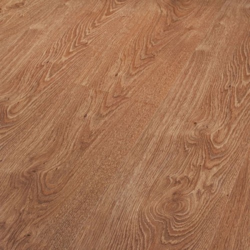 Dąb Rzymski 8635.jpg