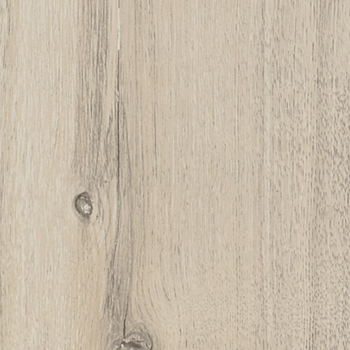 Dąb Jurajski 3237.png