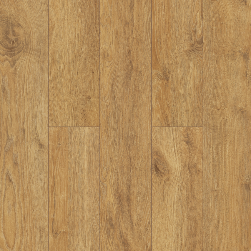 3308 DĄB ANGELLI.png