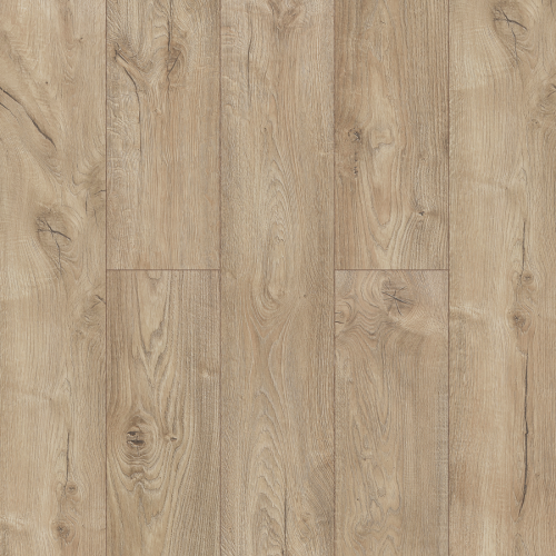 Dąb Veyron 3338.png