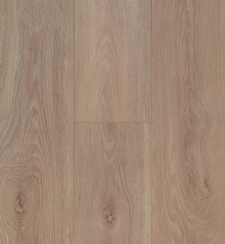 Bloom Light Brown.jpg