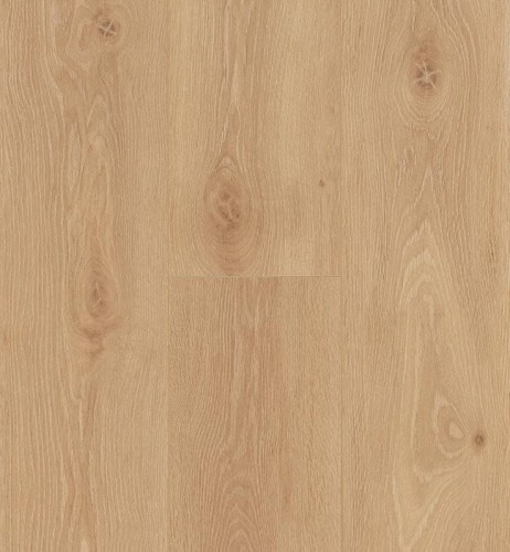 Bloom Warm Natural.jpg