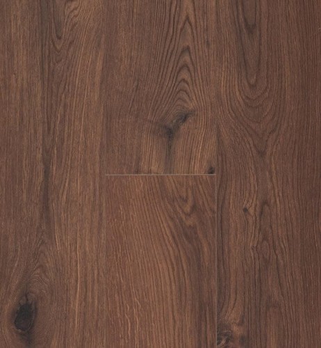 Gyant Warm Brown.jpg