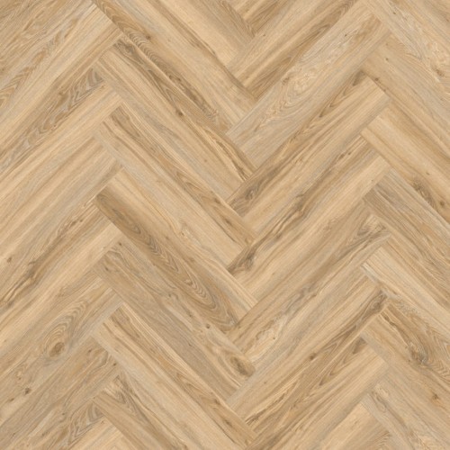 Blackjack Oak 22220.jpeg