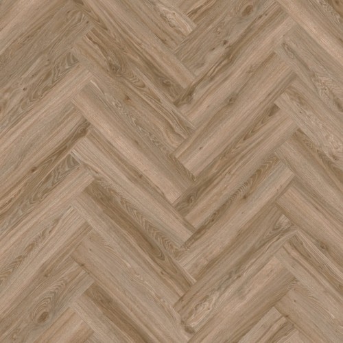 Blackjack Oak 22229.jpeg