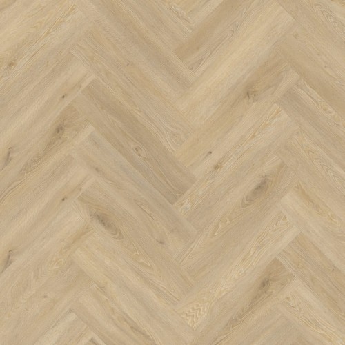 Galtymore Oak 86339.jpeg