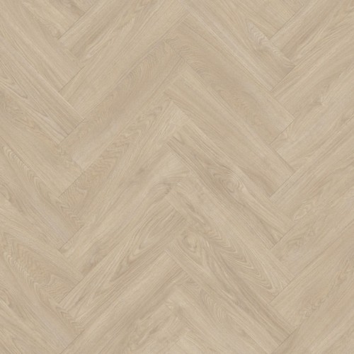 Laurel Oak 51229.jpeg