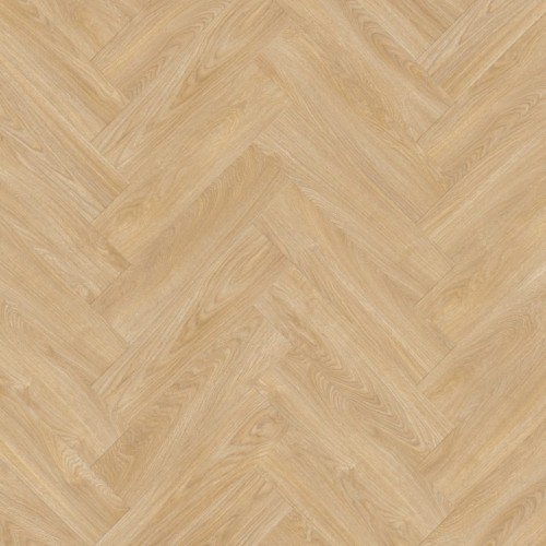 Laurel Oak 51282.jpeg