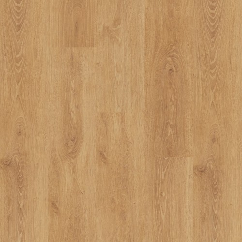 SELECCION OAK.jpg