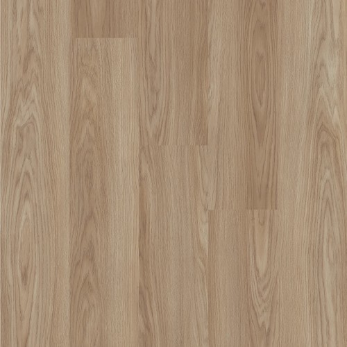 ONS OAK.jpg