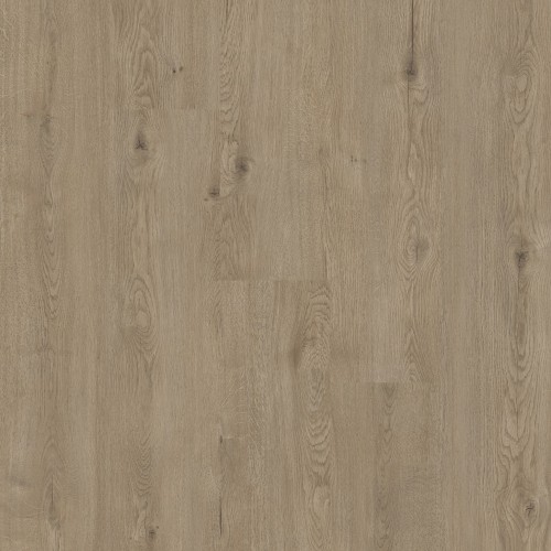 TOJA OAK.jpg