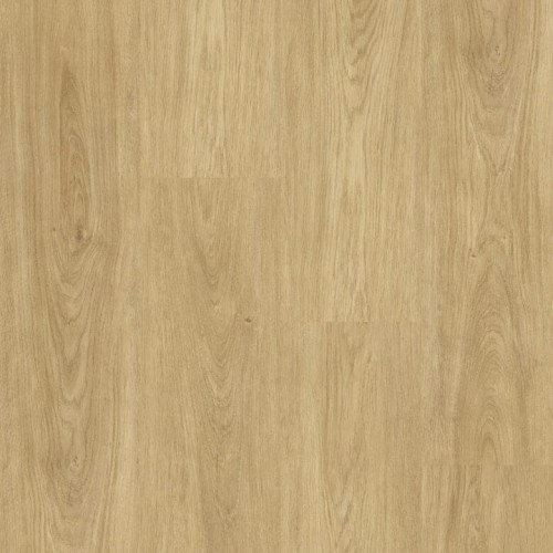 NATURE OAK.jpg