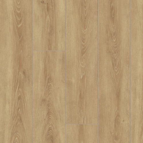NUTMEG OAK.jpg