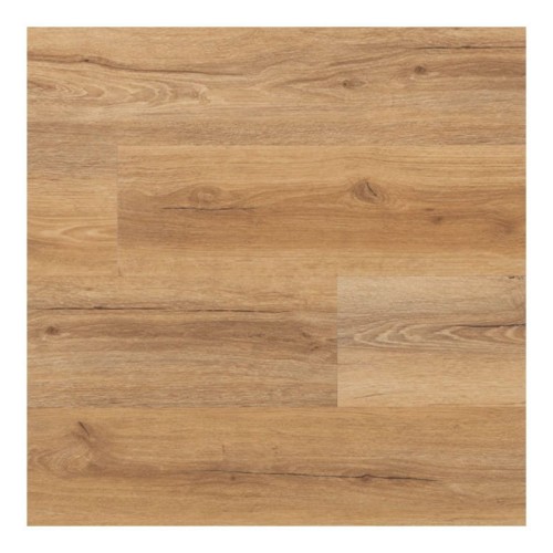 Curacao 177600236.jpg