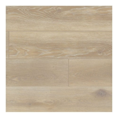 Anquilla 177600215.jpg