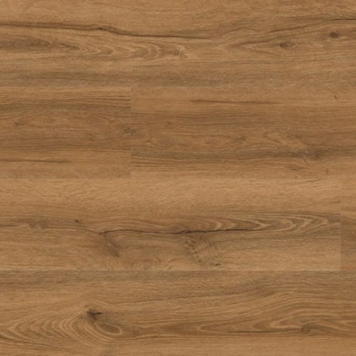 Bahamas 177640238.jpg