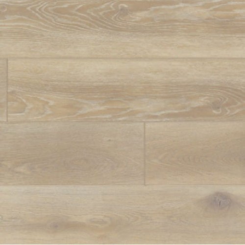 Anquilla 177640215.jpg