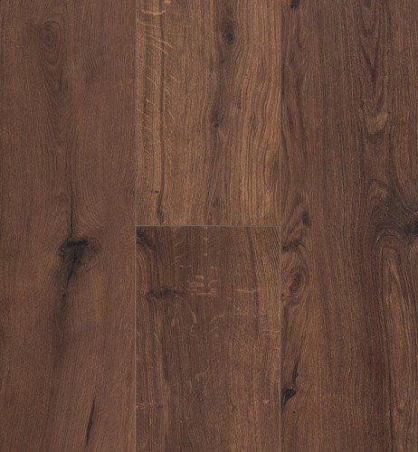 Gyant Xl Warm Brownx.jpg