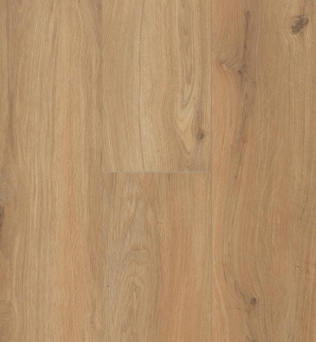 Gyant Xl Warm Natural.jpg