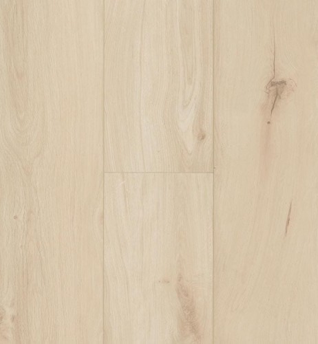 Gyant Xl Light Sand.jpg