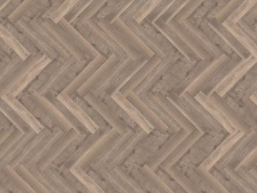 40817 Smoky Sycamore.jpg