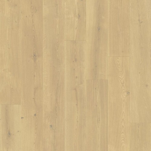 Dąb Zachmurzony.jpeg