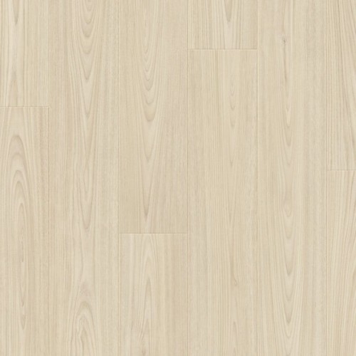 dąb tromsdalen.jpeg