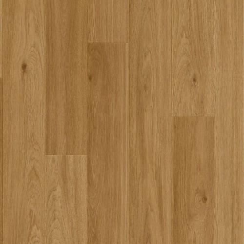 Dąb Wiedeński.jpeg