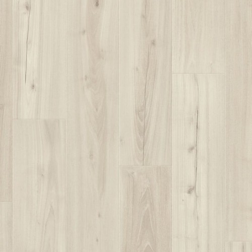 Dąb Biały Mrok.jpeg