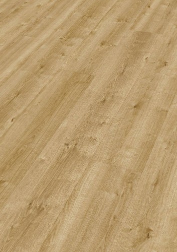 ąb chłopski naturalny 06832.jpg