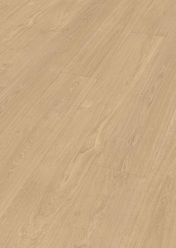 Dąb dolinny jasny 07144.jpg