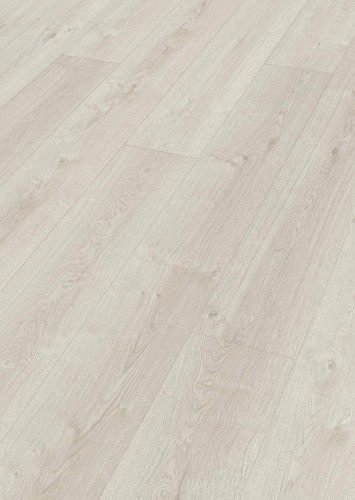 Dąb mountain white 07124.jpg