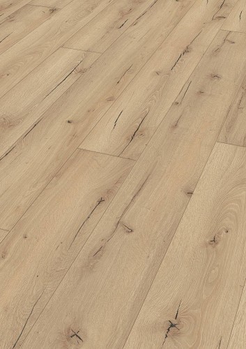 Dąb z pęknięciami jasny 06258.jpg