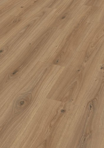 LD 200 – Dąb fontanna 07110.jpg