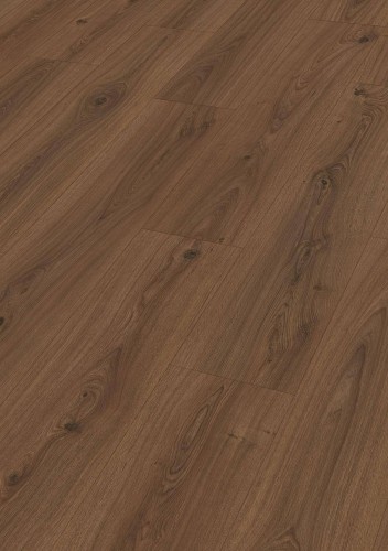 Dąb fontanna ciemny 07111.jpg