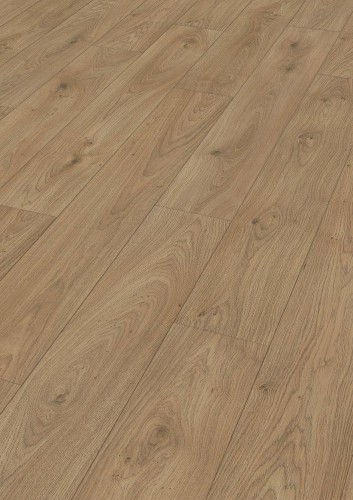 Dąb Chianti 07149.jpg