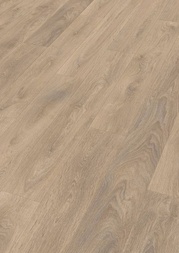 Dąb piaskowy 07004.jpg