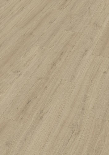 Dąb skalny piasek 07122.jpg