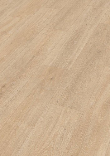 Dąb Taverna 06428.jpg