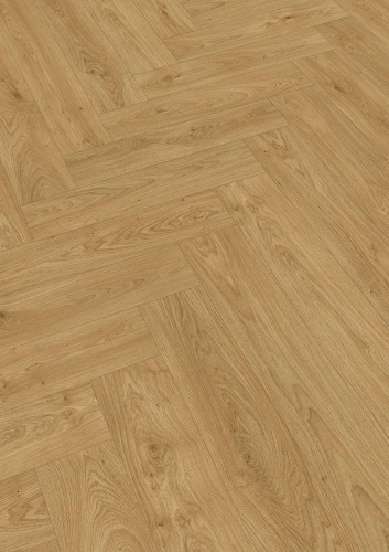 Dąb brzegowy miód 07127.jpg