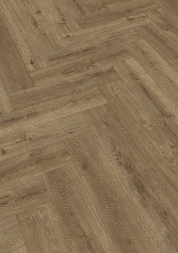 Dąb bursztynowy 07002.jpg