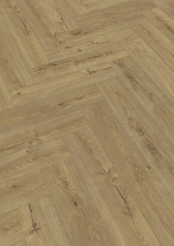 Dąb szampan 07001.jpg