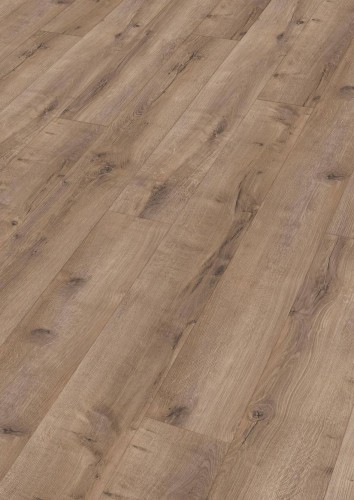 Dąb Cracked Terra 7432.jpg