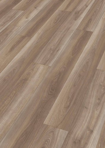 Dąb White Cliffs 7435.jpg