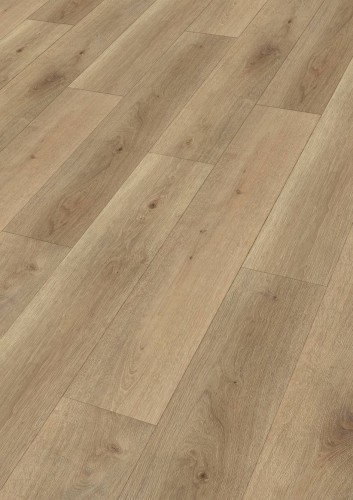 Dąb Farmlands 7385.jpg