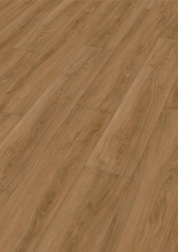 Dąb Indian Summer 7328.jpg