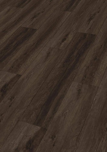 Dąb Woodland 7386.jpg