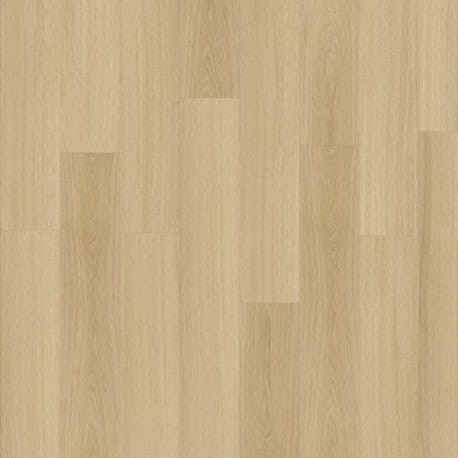 Glyde Oak 22219.jpg