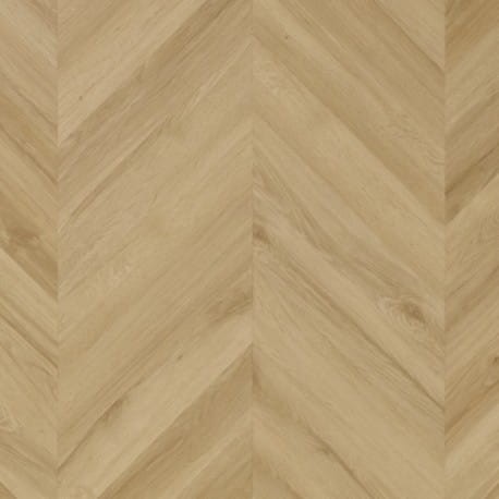 DĄB PRINCETON CLC 228.jpg